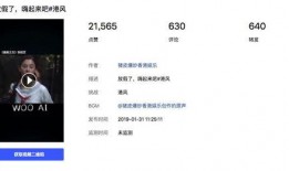 抖音香港娱乐圈爆料女,揭秘抖音红人背后的故事